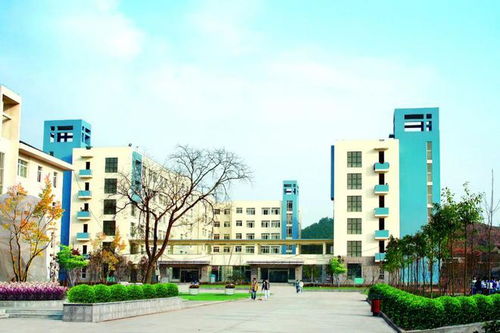 女儿小升初成绩出来,内心抑制不住的哭了 家长 特别对不住孩子