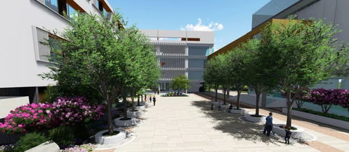 南京市软件谷小学欢迎你