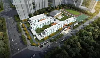 满江小学新校区开学了,大理满江片区教育配套日益呈现