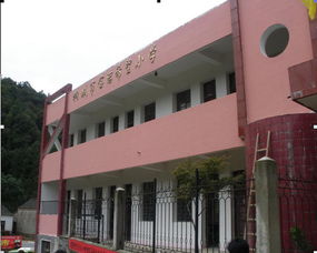 置业担保公司向桐城市长岭小学捐赠学习用品