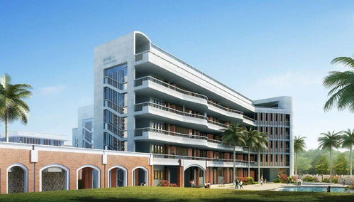 为何偏偏是厦门