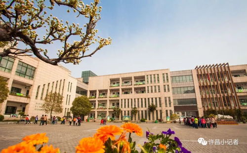 市学府街小学争创 精品学校 纪实 让孩子从这里走向精彩人生