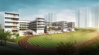 精品现代中小学详细建筑su模型