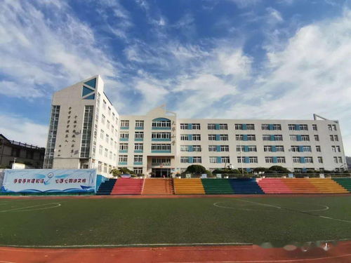 心之所向 素履而往——大华小学第十一周工作回顾