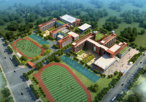 华一系八所初中大盘点 最热门学校摇号录取率仅三成，大华第二小学升学解析