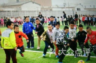 上海大华地区学校概览 聚焦大华第二小学的教育特色与地区排名